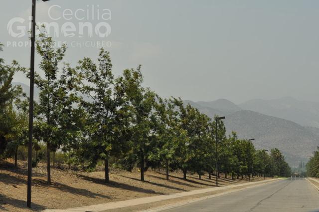 Sitio en Arriendo, Chicureo Oriente
