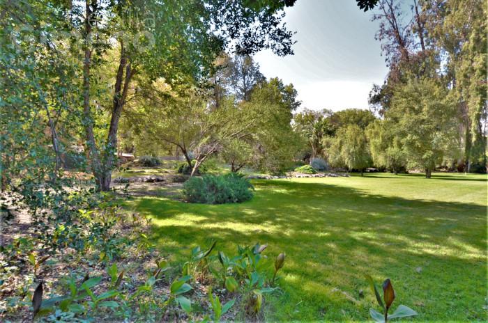 Sitio en Venta, Chicureo Poniente