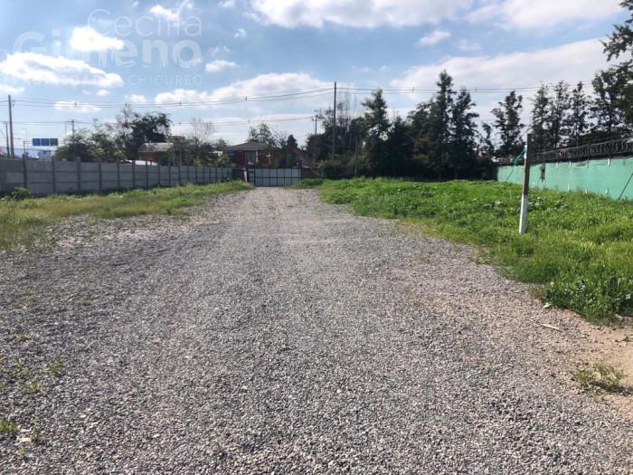 Sitio en Arriendo, Chicureo Oriente